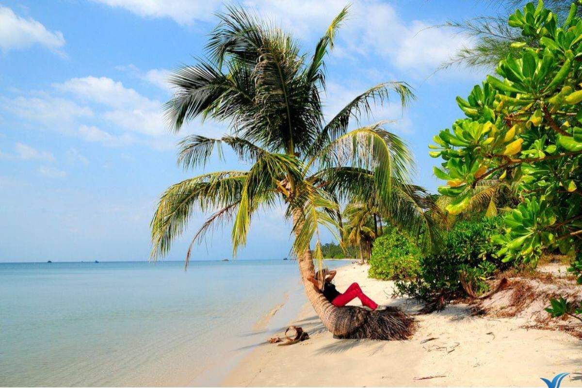 mũi hàm rồng